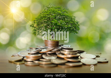 La crescita di denaro per un risparmio di denaro. Albero superiore monete al concetto illustrato ai cambiamenti di un business in espansione Foto Stock