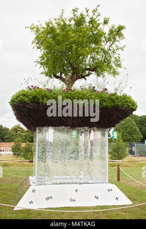 Pumila granatum - Elementi del concetto di vita giardino, progettato da Bill Wilder, RHS Hampton Court Palace Flower Show 2017 Foto Stock