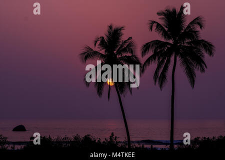 Alberi di palma come sagome di fronte al tramonto sull'oceano Foto Stock