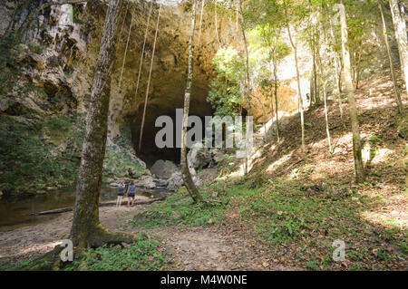 Paesaggio con il Rio Frio Cave nelle remote e difficili da raggiungere Mountain Pine Ridge riserva forestale in Belize. America centrale Foto Stock