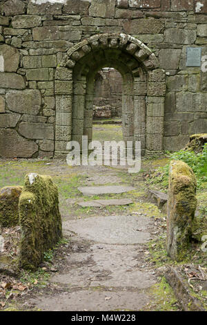 Scolpiti portale romanico della chiesa di Santi, Inchagoill Isola, Lough Corrib, nella contea di Galway, Irlanda. Foto Stock