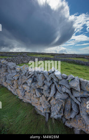 Mura di pietra e campi su Inishmore, Isole Aran, nella contea di Galway, Irlanda. Foto Stock