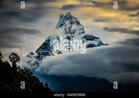 Machapuchare, significato coda di pesce, la montagna sacra come si vede dall'Annapurna trail in Himalaya del Nepal. Il picco di montagna affiora attraverso th Foto Stock