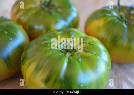 Pomodori acerbi, verde diventa rosso Foto Stock