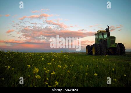 Un trattore si siede inutilizzata in un campo durante il tramonto al di fuori del bosco, CA. Foto Stock