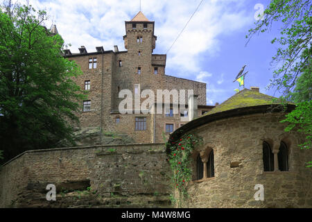 Castello Berwartstein; foresta palatina in Renania Palatinato/Germania; Foto Stock