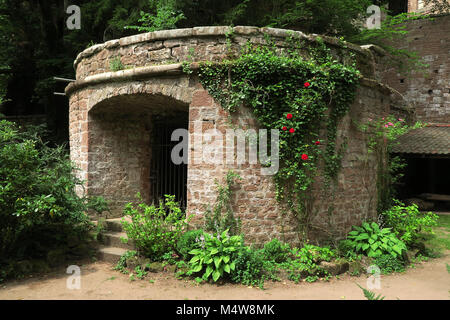 Castello Berwartstein; foresta palatina in Renania Palatinato/Germania; Foto Stock