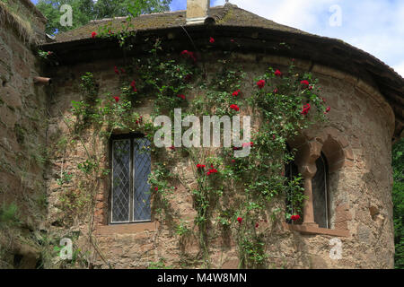 Castello Berwartstein; foresta palatina in Renania Palatinato/Germania; Foto Stock