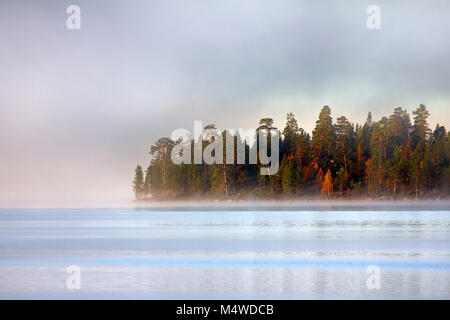 Bellissimi paesaggi del nord. La Lapponia. In autunno, acqua raffredda e forme di nebbia. Di gran lunga isola è ricoperta di boschi di pini. Foto Stock