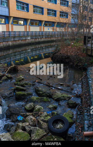 I Rifiuti nel fiume Ravensbourne, Ospedale di Lewisham Foto Stock