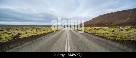 Paesaggio islandese con sede stradale del paese Foto Stock