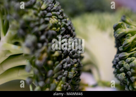 Broccoli pronto per il pot Foto Stock