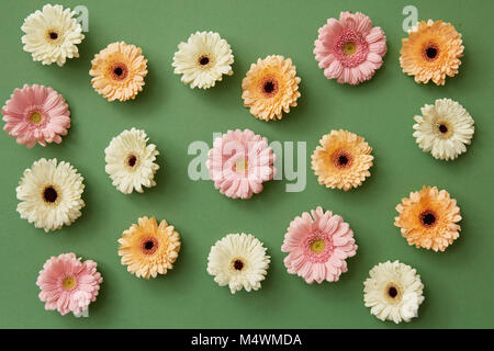 Disegno da diversi fiori di gerbera su uno sfondo verde. Foto Stock