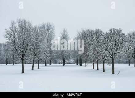 Monaco di Baviera, Germania. 18 Febbraio, 2018. Resti di una forte tempesta di neve il giorno prima come visto nel parco intorno a Monaco di Baviera Schloss Blutenburg. La gravità della caduta di neve non era stata prevista e la prossima settimana porterà brutale freddo per la città. Credito: Sachelle Babbar/ZUMA filo/Alamy Live News Foto Stock