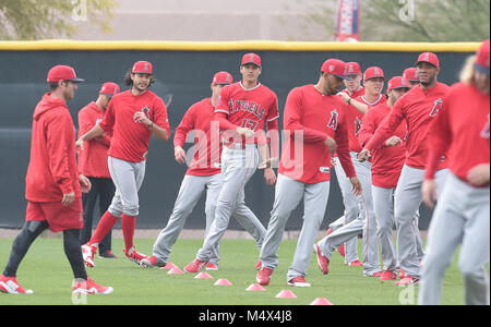 Tempe, Arizona, Stati Uniti. 15 Feb, 2018. Shohei Ohtani (Angeli) MLB : Los Angeles Angeli spring training camp di baseball a Tempe Diablo Stadium di Tempe, Arizona, Stati Uniti . Credito: AFLO/Alamy Live News Foto Stock