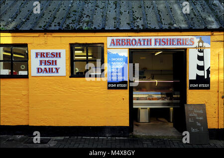 Arbroath Pesca, Arbroath Angus Scozia. Foto Stock