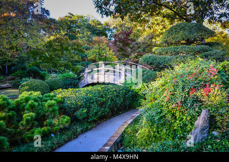 Giardino giapponese che fiorisce in rosso e sfumature russet durante la caduta a Fort Worth Botanic Garden a Fort Worth, Texas. Foto Stock