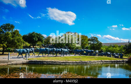 Grande statua di Longhorn bovini di commemorazione del XIX secolo occidentale di unità di bestiame a Pioneer Plaza a Dallas, TX. Foto Stock