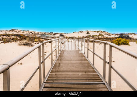 Interdune Boardwalk, un marciapiede elevato attraverso le dune di sabbia bianca del Parco Nazionale. Foto Stock