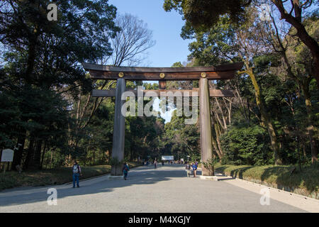 Il Torii (santuario archway) al Meiji Jingu di Tokyo Foto Stock