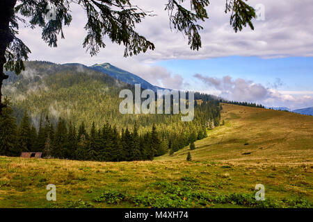 Beautiful scenery in Carpathian mountains. Forested hill at cloudy day in springtime with framing. Beautiful Ukrainian mountaniuos landscape. Mountain Foto Stock