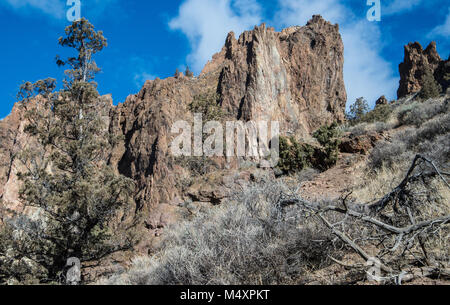 Smith Rock State Park nel centro di Oregon Foto Stock