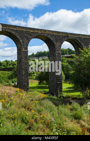 Kilmacthomas viadotto sulla Waterford Greenway, Kilmacthomas, nella contea di Waterford, Irlanda. Foto Stock