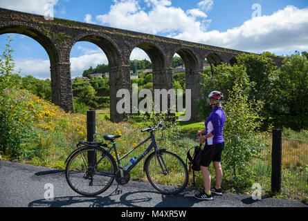 Ciclista al di sotto del viadotto Kilmacthomas, Waterford Greenway, nella contea di Waterford, Irlanda. Foto Stock