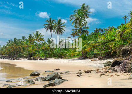 Bellissima spiaggia natura vicino a Itacare in Bahia Foto Stock