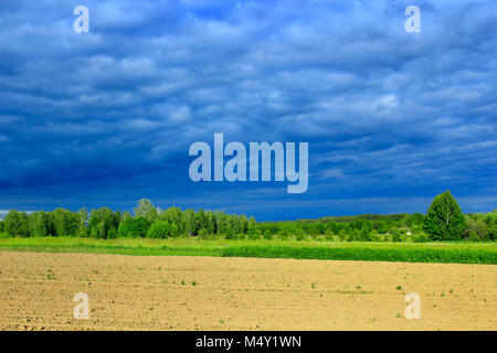 Paesaggio con thundercloud scure nuvole sotto la foresta e la terra Foto Stock