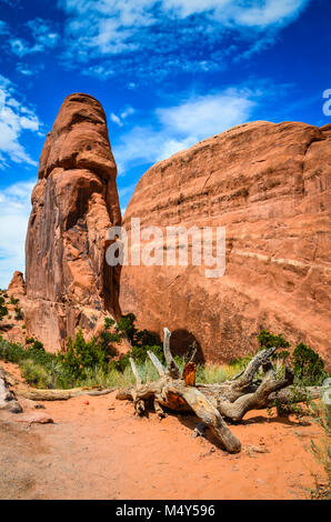 L'immagine verticale di red rock formazione e legno morto sul sentiero di sabbia in Arches National Park. Foto Stock