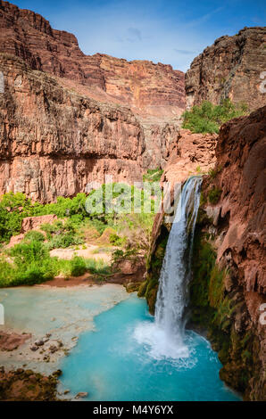 Havasu Falls è una cascata di Havasu Creek, che si trova nel Grand Canyon, Arizona, Stati Uniti. È all'interno di Havasupai terre tribali. Foto Stock