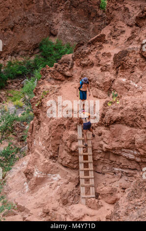 Giovane si arrampica scaletta di legno a Beaver Falls, una delle cascate spuntano da Havasu Creek in Hualapai terre tribali. Foto Stock