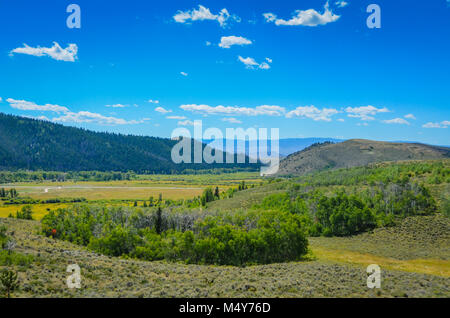 Praterie punteggiate di fiori selvatici, salvia bush e pino colline coperte e un grande cielo blu in una vallata a Medicine Bow National Forest. Foto Stock