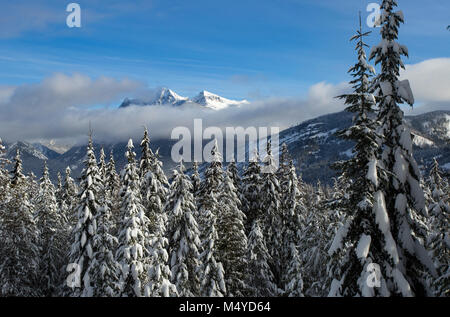 Vista da Eagle View di Snow capped Ibex Peak nel cabinet montagne, nel nord-ovest Montana. Foto Stock