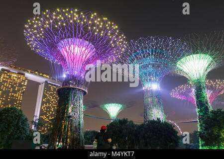 Supertree grove a giardini dalla Baia di Singapore illuminata di notte. Foto Stock