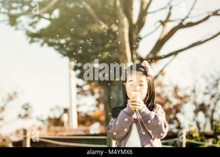 L'Asia, il bambino soffia un dente di leone in un parco. Foto Stock