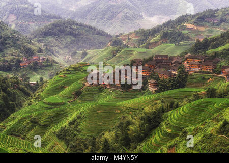 Riso longji terrazza Foto Stock