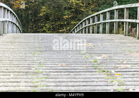 Ponte di legno con rack di legno con alberi in background Foto Stock