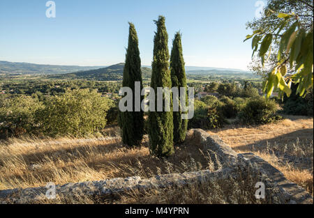 Tre cipressi in Saint-Saturnin-les-Apt Muehle in Provenza, Francia Foto Stock