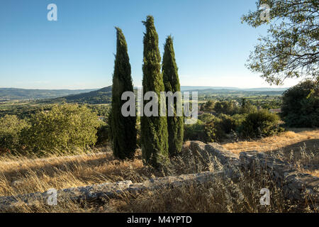 Tre cipressi in Saint-Saturnin-les-Apt Muehle in Provenza, Francia Foto Stock