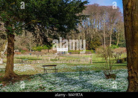 Vista dell'Exedra follia e banca con moquette molto spessa di snowdrops Painswick Giardino rococò, Painswick, Gloucestershire Cotswolds in inverno Foto Stock