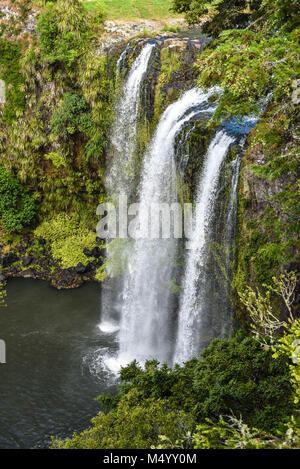 Whangeri falls, whangeri, Nuova Zelanda Foto Stock