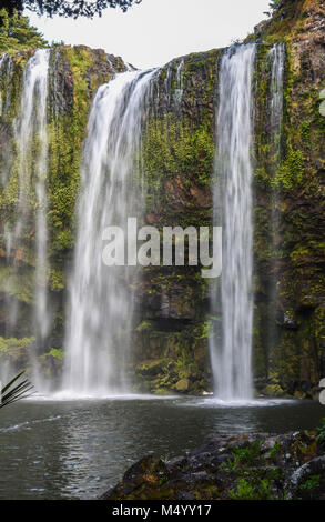 Whangeri falls, whangeri, Nuova Zelanda Foto Stock