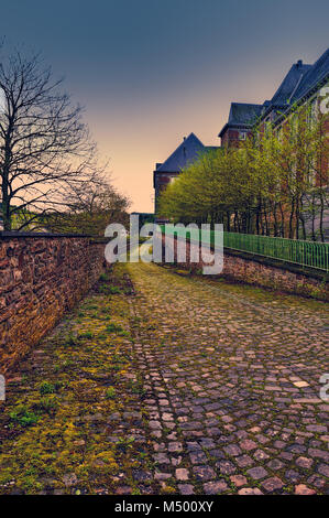 Marciapiede coperto con Moss in Belgio Foto Stock