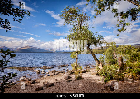 Una piccola spiaggia accanto a Loch Lomond dal West Highland Way, Stirlingshire, Scotland, Regno Unito. Foto Stock