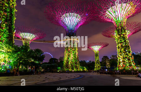 Park Gardens dalla Baia - Singapore Foto Stock