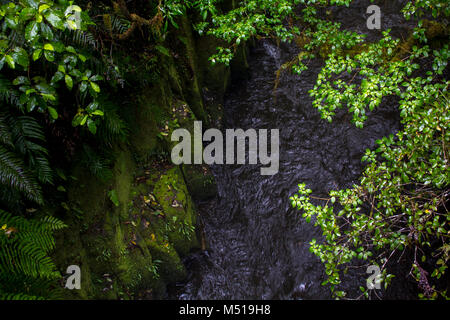 Al di sopra di vista del fiume che scorre tra clifs roccioso coperto con verde muschio Foto Stock