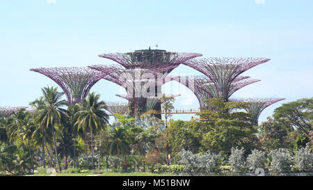 SINGAPORE - APR 2nd, 2015: vista Giorno dell'Supertree Grove a giardini dalla Baia di Singapore. Spanning 101 ettari, e a cinque minuti a piedi dalla stazione MRT di Bayfront stazione. Foto Stock