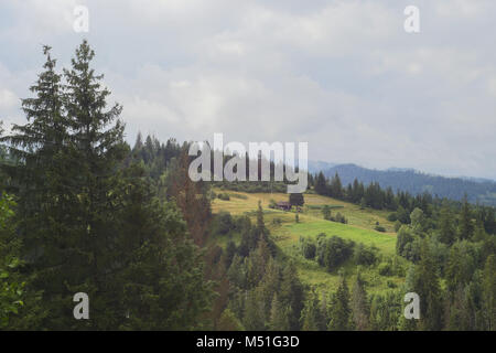 Foresta, montagna, prato, casa piccola, carina, giardino, Sky, nuvole, vertex, europa Foto Stock